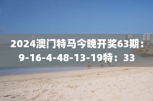2024澳门特马今晚开奖63期：9-16-4-48-13-19特：33
