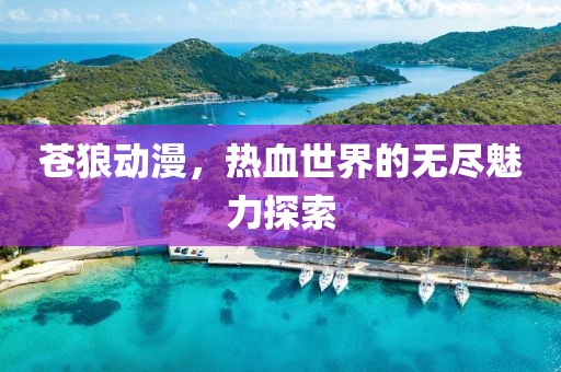 苍狼动漫，热血世界的无尽魅力探索