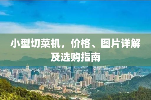 小型切菜机，价格、图片详解及选购指南