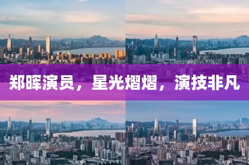 郑晖演员，星光熠熠，演技非凡