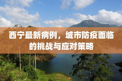 西宁最新病例，城市防疫面临的挑战与应对策略