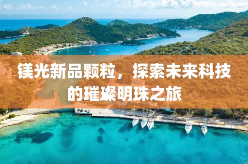 镁光新品颗粒，探索未来科技的璀璨明珠之旅