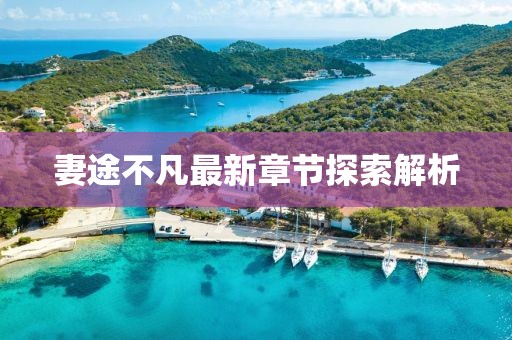 妻途不凡最新章节探索解析