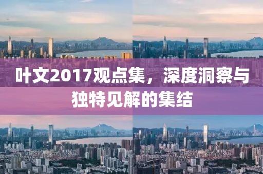 叶文2017观点集，深度洞察与独特见解的集结