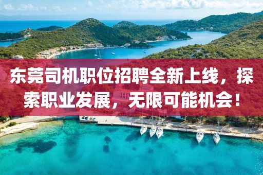 东莞司机职位招聘全新上线，探索职业发展，无限可能机会！