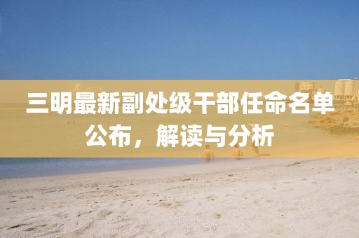 三明最新副处级干部任命名单公布，解读与分析