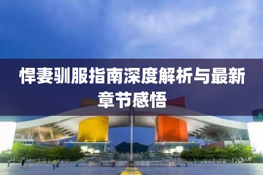 悍妻驯服指南深度解析与最新章节感悟