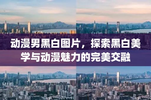动漫男黑白图片，探索黑白美学与动漫魅力的完美交融