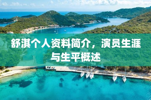 舒淇个人资料简介，演员生涯与生平概述