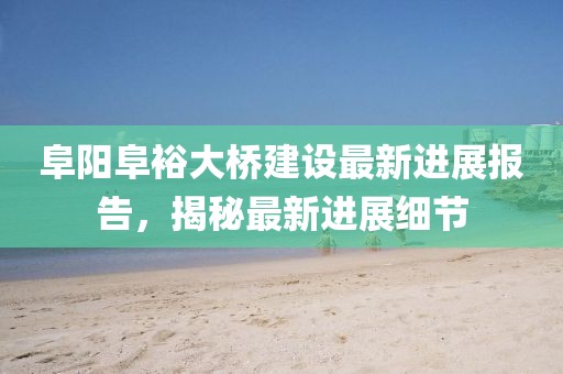 阜阳阜裕大桥建设最新进展报告，揭秘最新进展细节