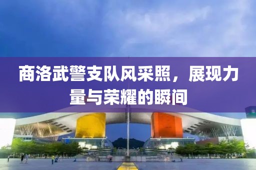 商洛武警支队风采照，展现力量与荣耀的瞬间