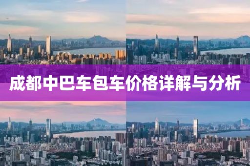 成都中巴车包车价格详解与分析