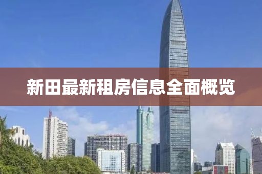 新田最新租房信息全面概览