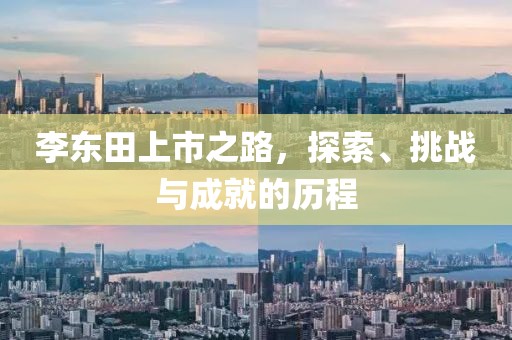 李东田上市之路，探索、挑战与成就的历程