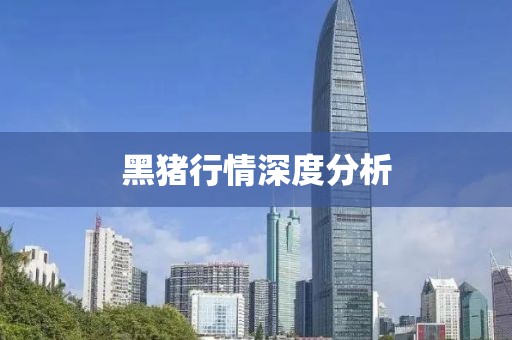 黑猪行情深度分析