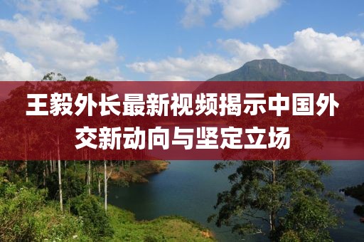 王毅外长最新视频揭示中国外交新动向与坚定立场