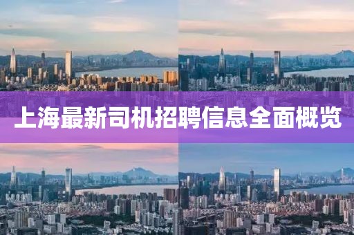 上海最新司机招聘信息全面概览