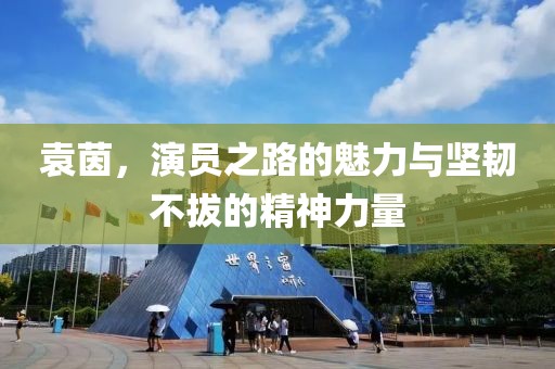 袁茵，演员之路的魅力与坚韧不拔的精神力量