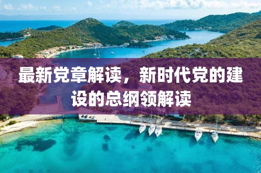 最新党章解读，新时代党的建设的总纲领解读