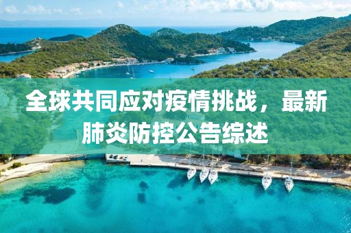 全球共同应对疫情挑战，最新肺炎防控公告综述