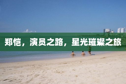 郑恺，演员之路，星光璀璨之旅