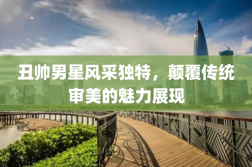 丑帅男星风采独特，颠覆传统审美的魅力展现
