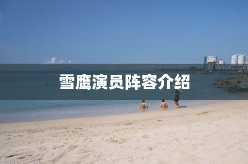 雪鹰演员阵容介绍