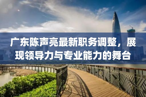 广东陈声亮最新职务调整，展现领导力与专业能力的舞台