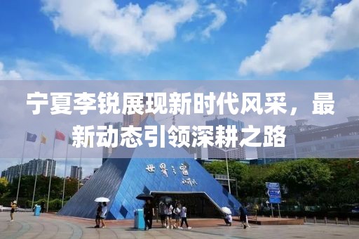 宁夏李锐展现新时代风采，最新动态引领深耕之路