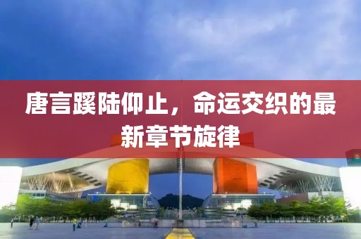 唐言蹊陆仰止，命运交织的最新章节旋律