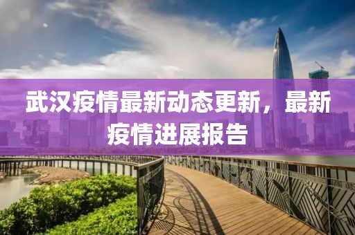 武汉疫情最新动态更新，最新疫情进展报告