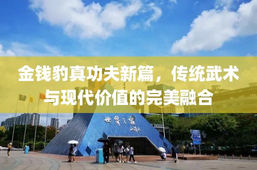 金钱豹真功夫新篇，传统武术与现代价值的完美融合