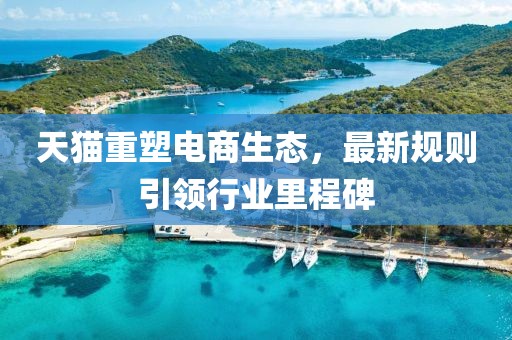 天猫重塑电商生态，最新规则引领行业里程碑