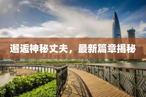邂逅神秘丈夫，最新篇章揭秘