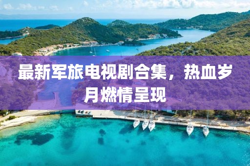 最新军旅电视剧合集，热血岁月燃情呈现