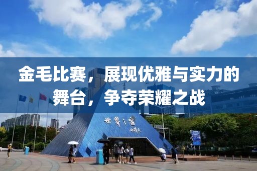 金毛比赛，展现优雅与实力的舞台，争夺荣耀之战