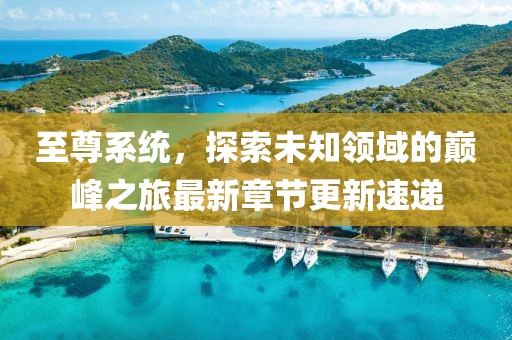 至尊系统，探索未知领域的巅峰之旅最新章节更新速递