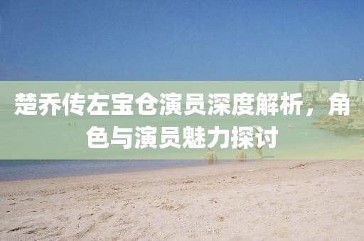 楚乔传左宝仓演员深度解析，角色与演员魅力探讨