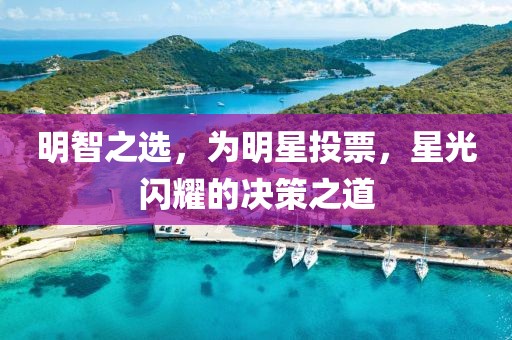 明智之选，为明星投票，星光闪耀的决策之道