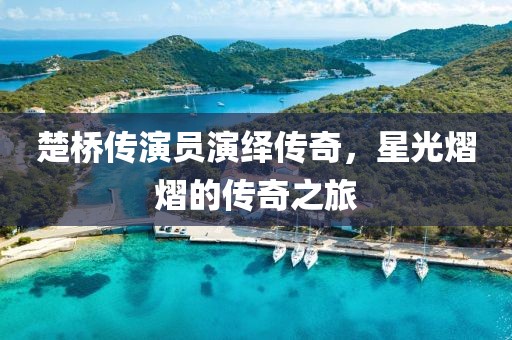 楚桥传演员演绎传奇，星光熠熠的传奇之旅