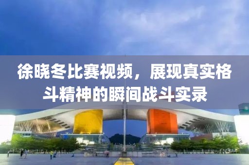 徐晓冬比赛视频，展现真实格斗精神的瞬间战斗实录