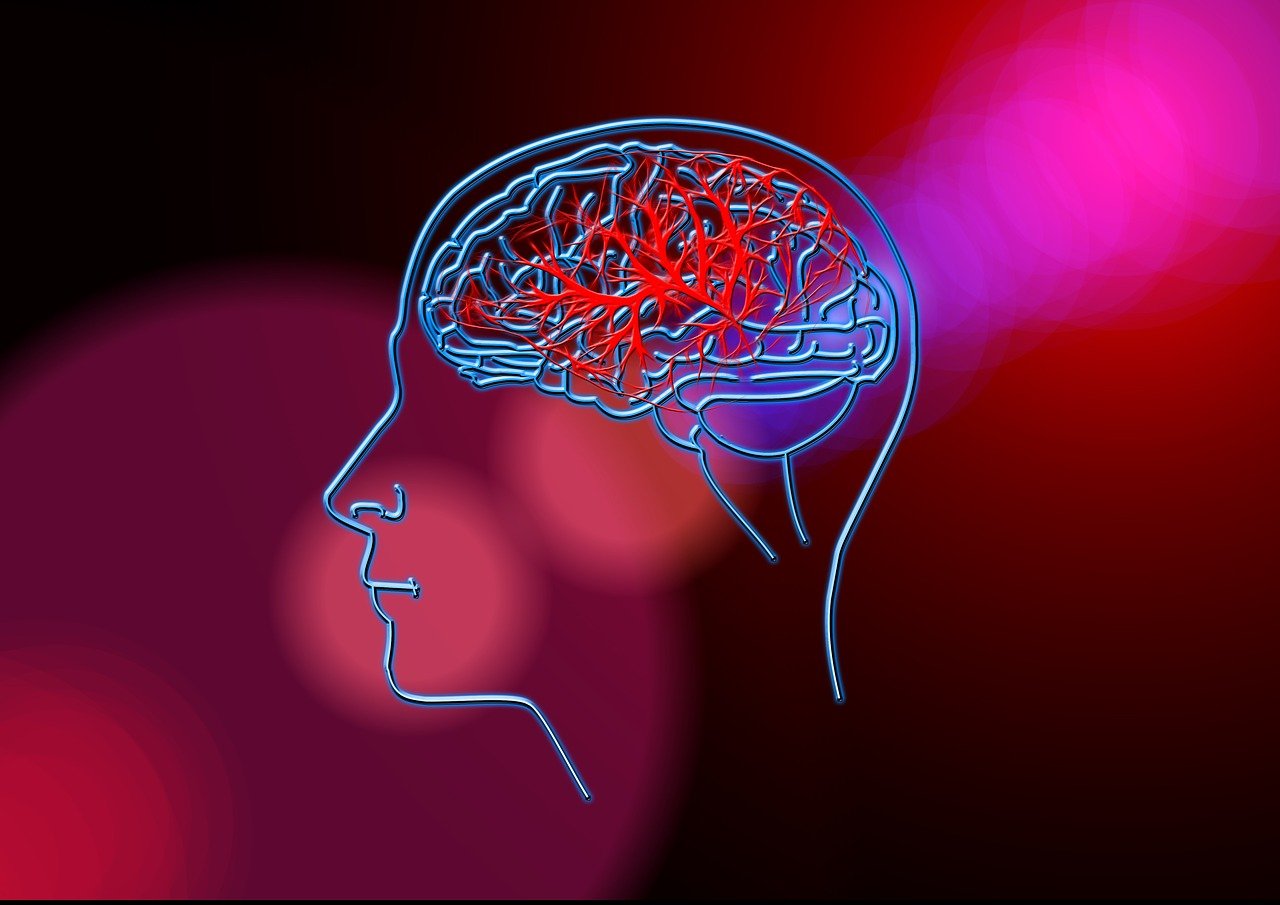 最新X抗体研究，突破性疾病防治的新希望