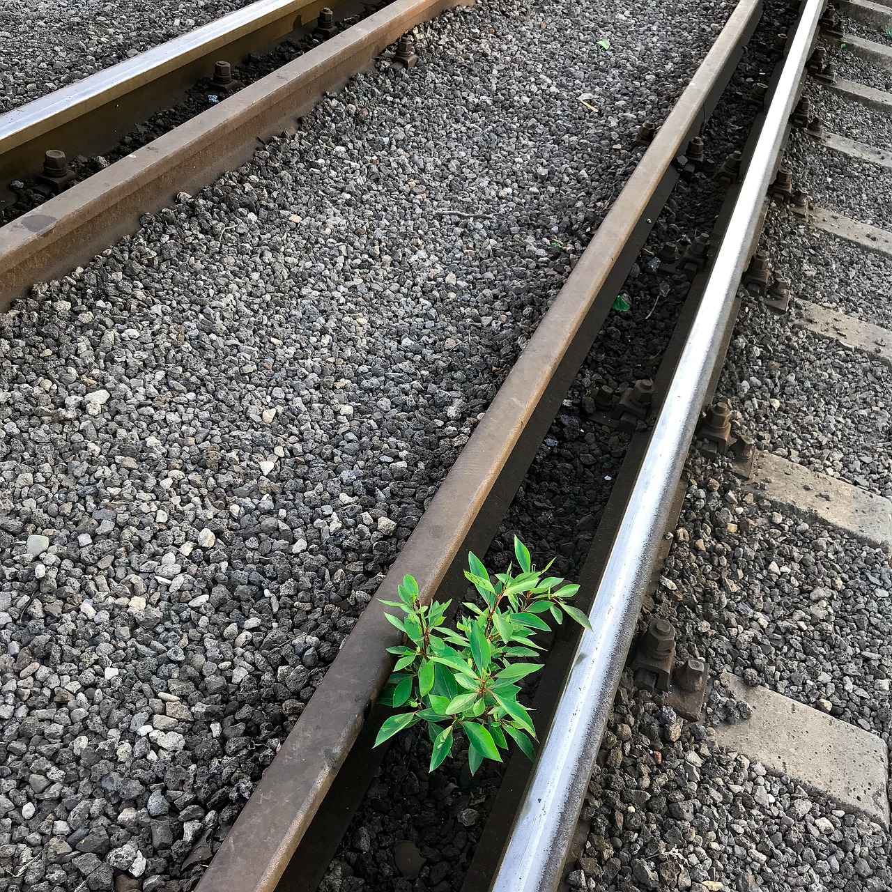 薄荷喵 第27页