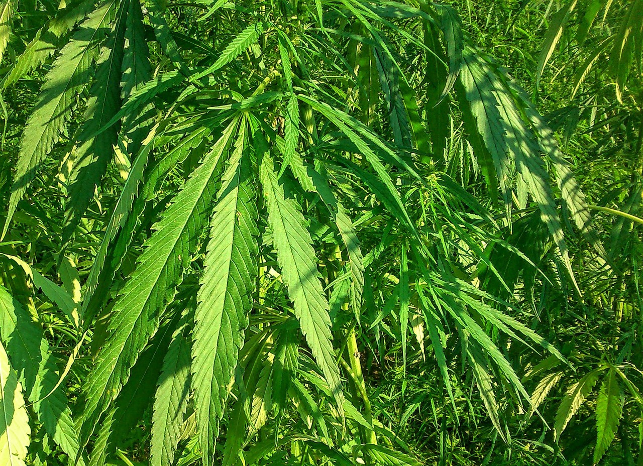 纺织外贸行业动态深度解析与探析