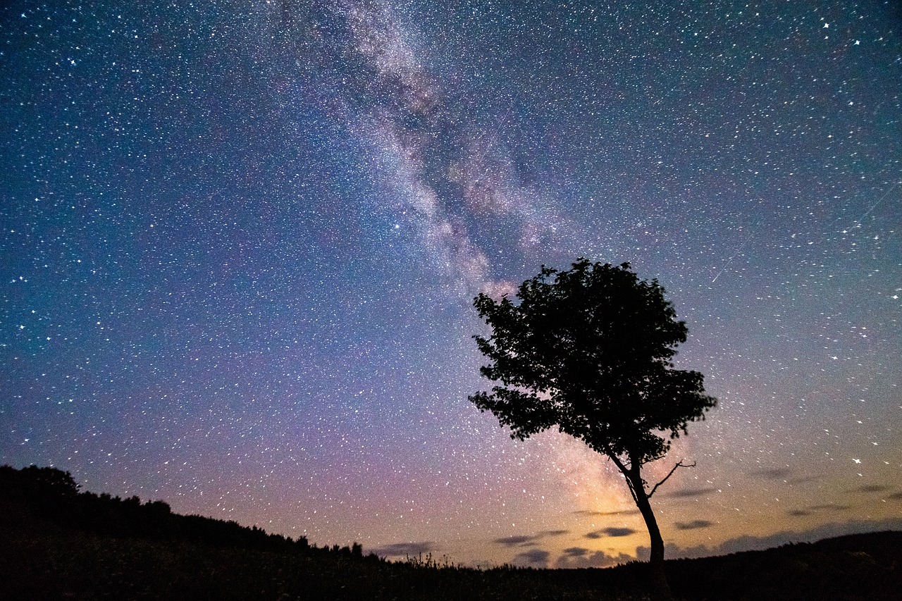 群星闪耀，水瓶座明星的独特魅力