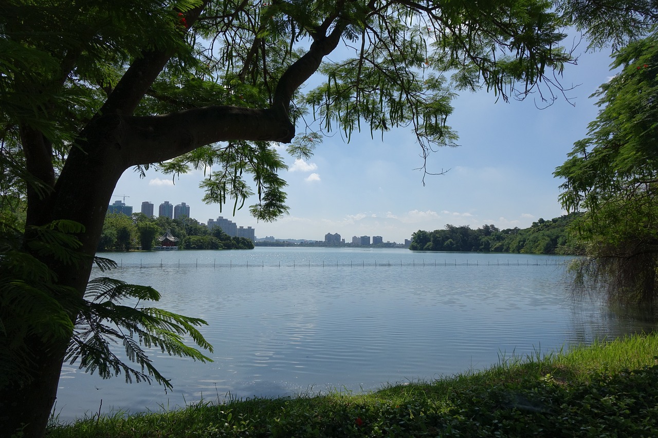 台湾最新选举动态，解读民意与未来走向展望