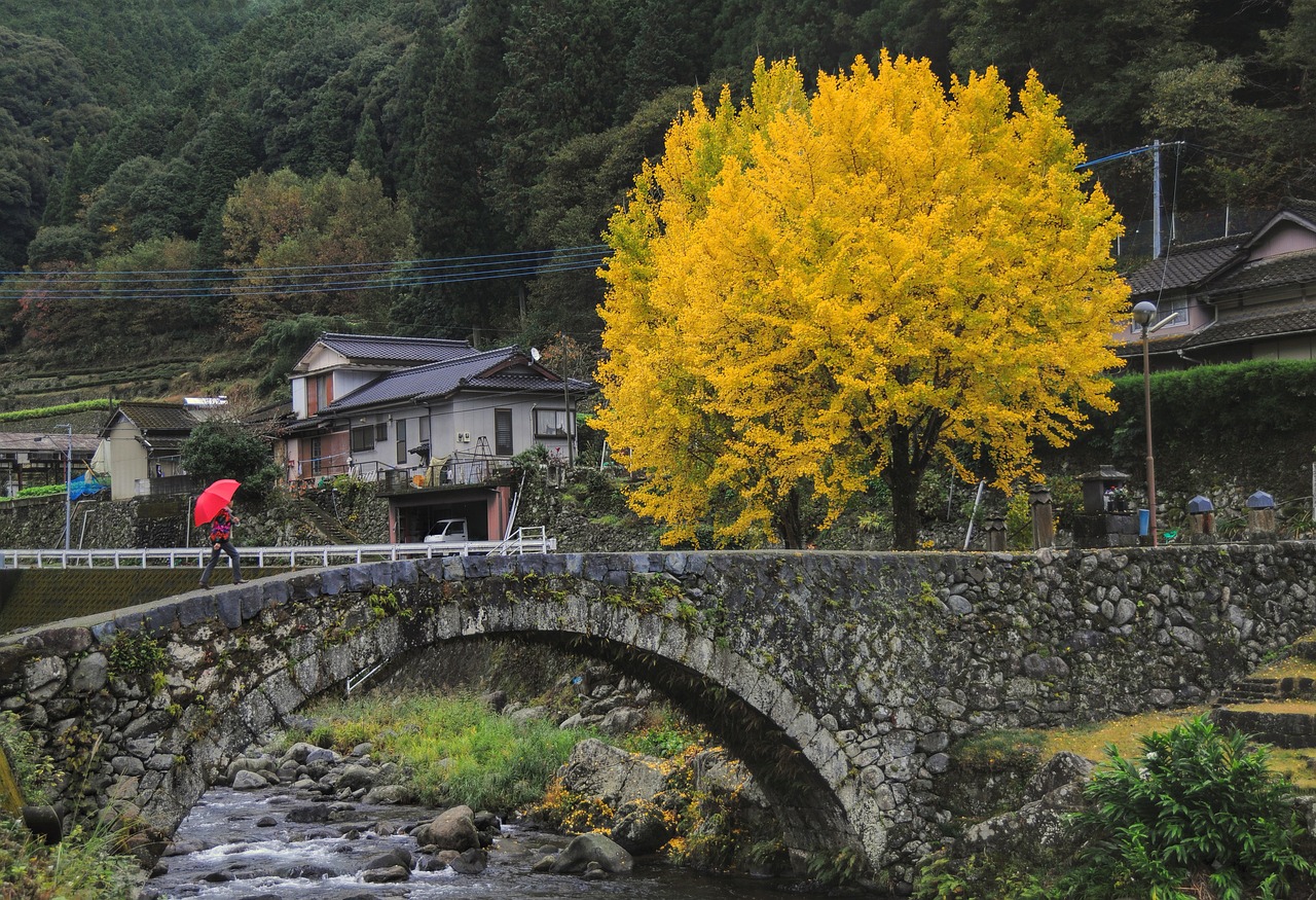 世嘉科技上市之路揭秘，时间节点、未来展望与前沿科技动态关注焦点