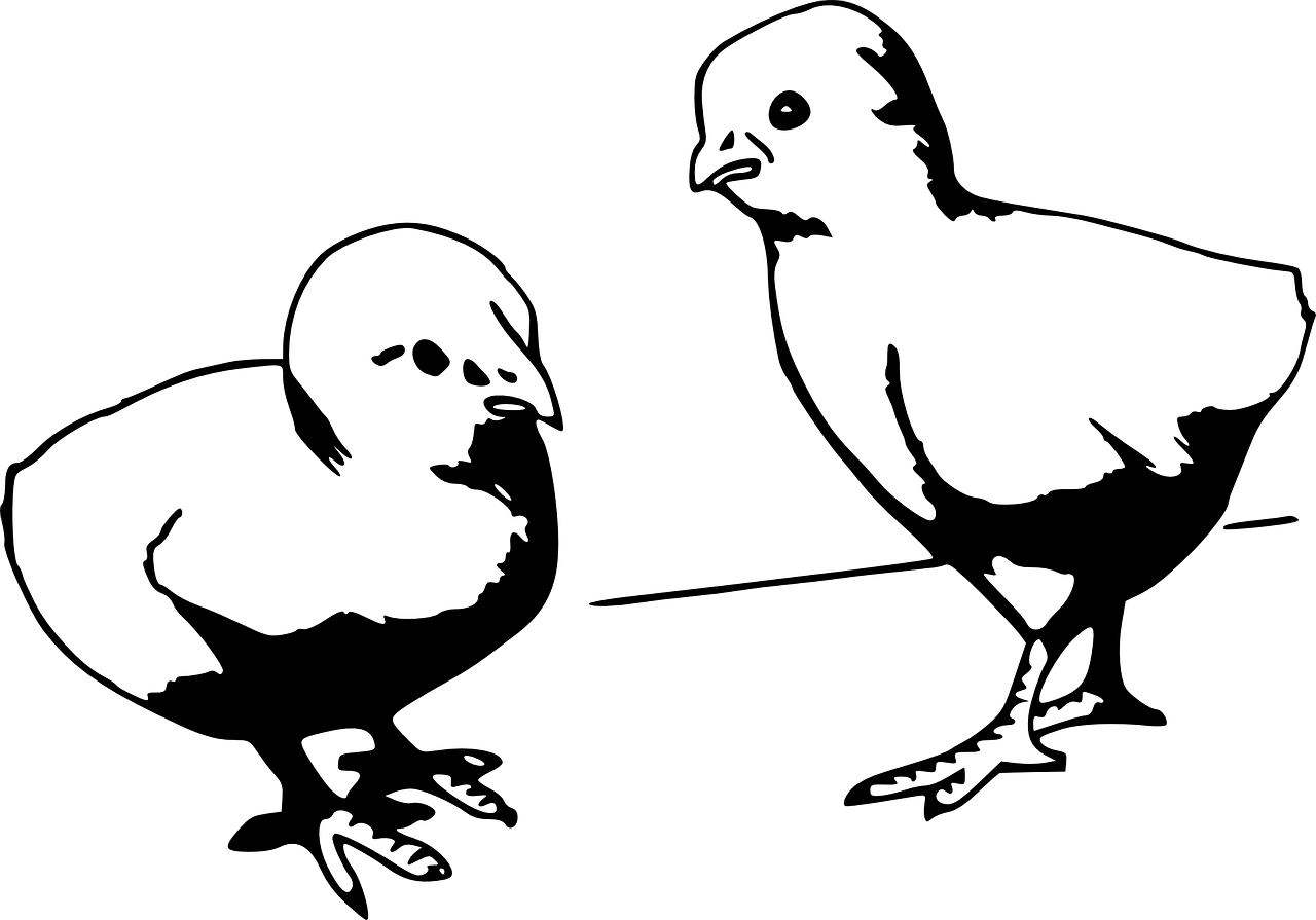 爱到终身 第16页