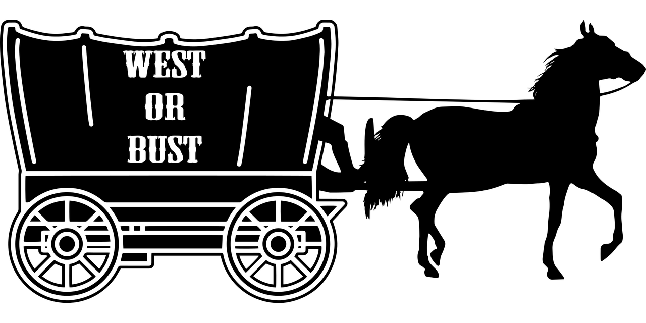汉堡王新动态，引领快餐业变革的前沿先锋