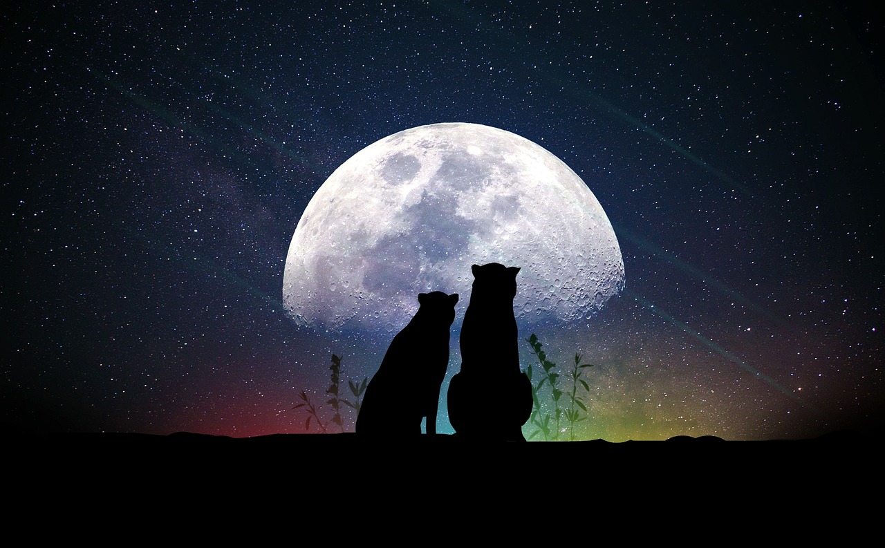 窥探情感宇宙，探索电影中的五十度灰现象，情感世界的深度与广度探索
